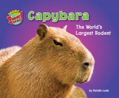 Capybara