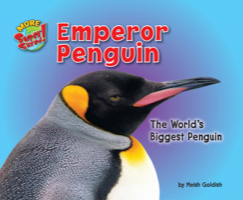 Emperor Penguin