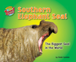 Southern Elephant Seal