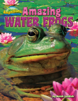 Amazing Water Frogs