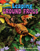 Leaping Ground Frogs