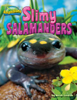 Slimy Salamanders