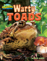 Warty Toads
