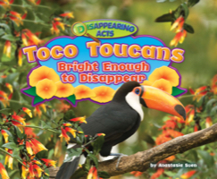 Toco Toucans