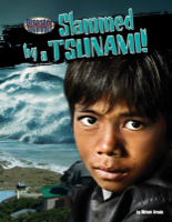 Slammed by a Tsunami!