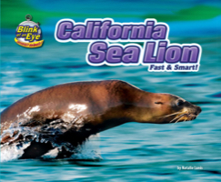California Sea Lion