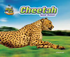 Cheetah