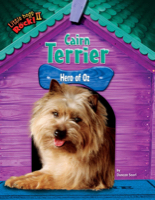 Cairn Terrier