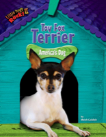 Toy Fox Terrier