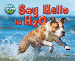 Say Hello to H2O