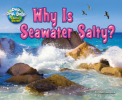 Why is Seawater Salty?