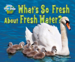 What's So Fresh About Fresh Water?