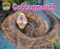 Cottonmouth