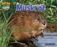 Muskrat