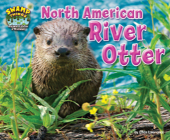 North American River Otter