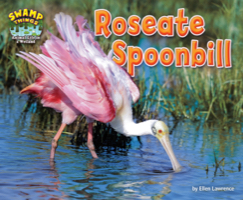 Roseate Spoonbill