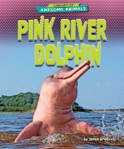 Pink River Dolphin