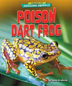 Poison Dart Frog