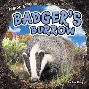 Inside a Badger’s Burrow