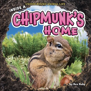 Inside a Chipmunk’s Home