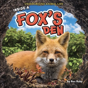 Inside a Fox’s Den