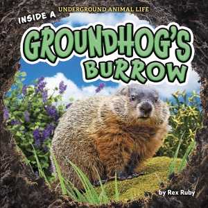 Inside a Groundhog’s Burrow