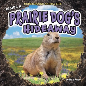 Inside a Prairie Dog’s Hideaway