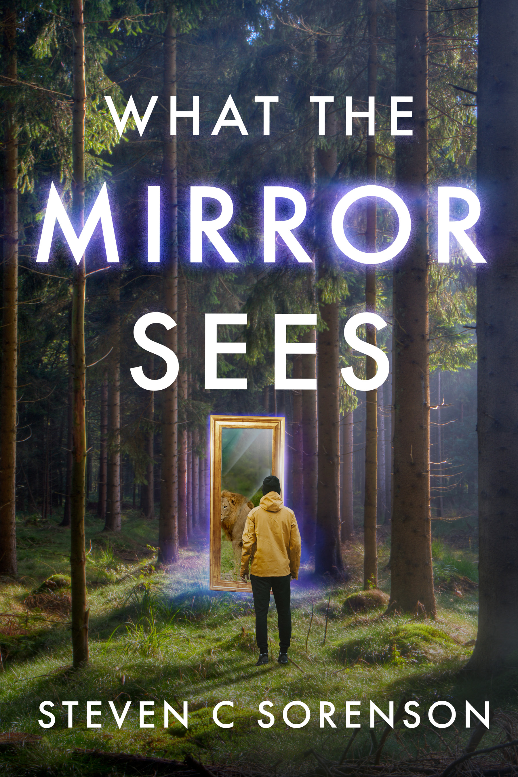 What the Mirror Sees