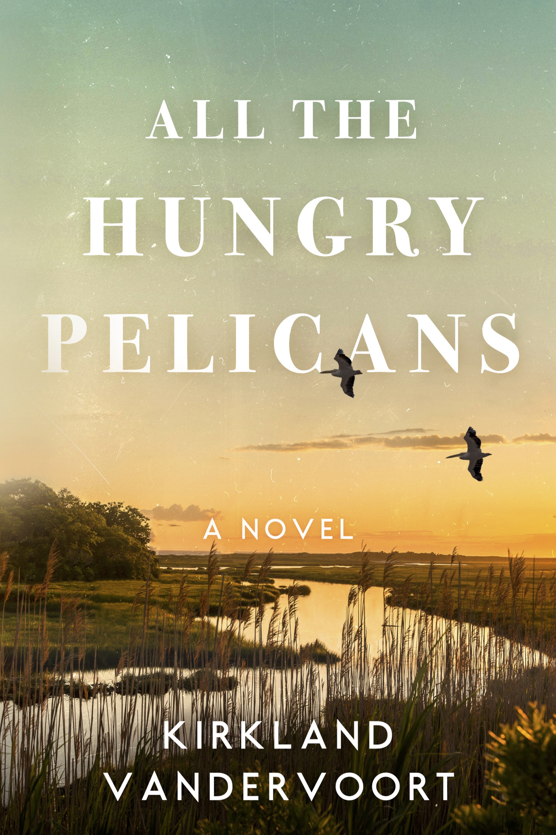 All the Hungry Pelicans