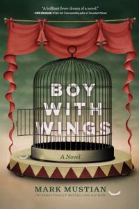Boy With Wings