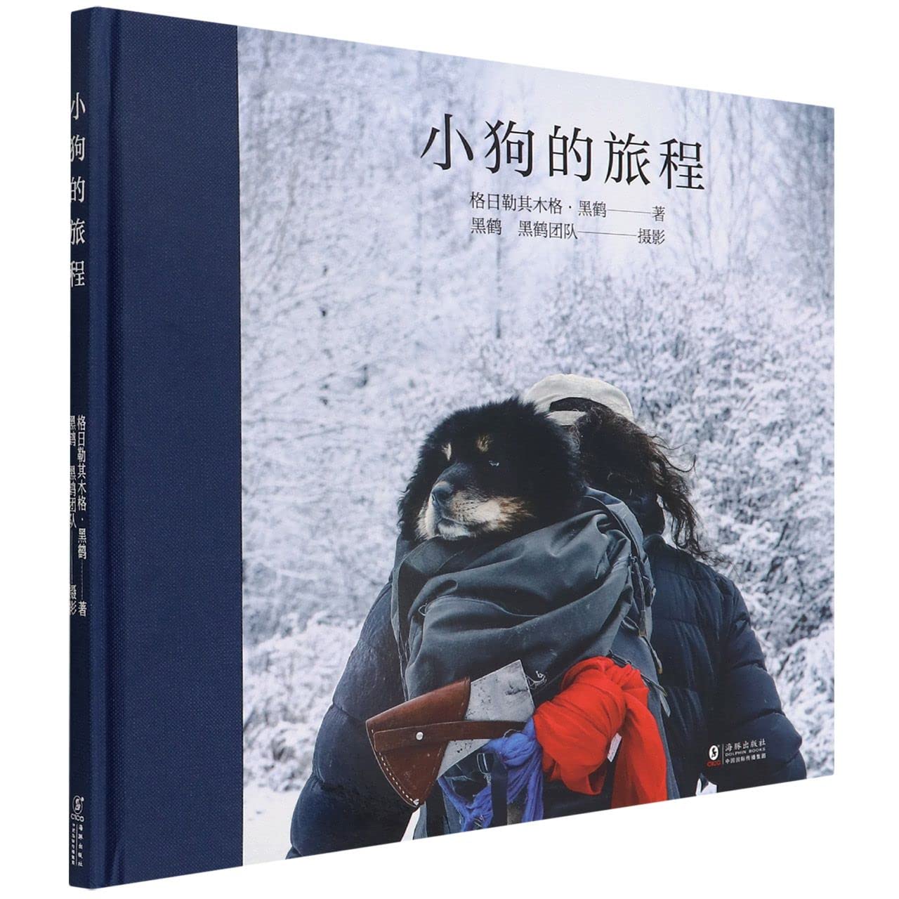 Journey of the Dog (Chinese Edition)