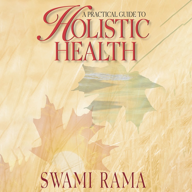 A Practical Guide to Holistic Health