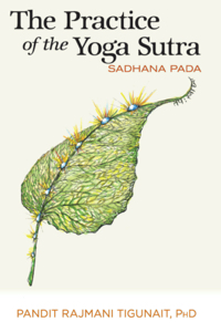 The Practice of the Yoga Sutra