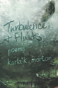 Turbulence & Fluids