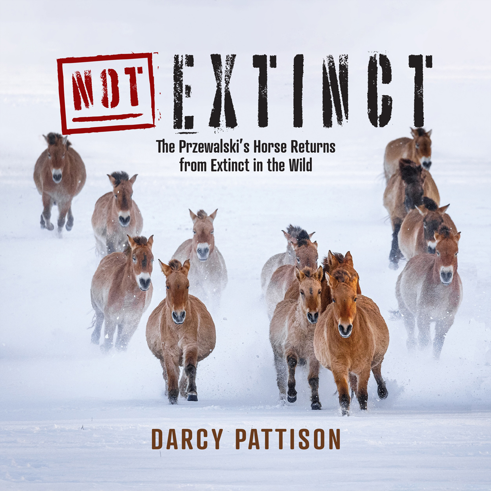 NOT EXTINCT: The Przewalski's Horse Returns from Extinct in the Wild