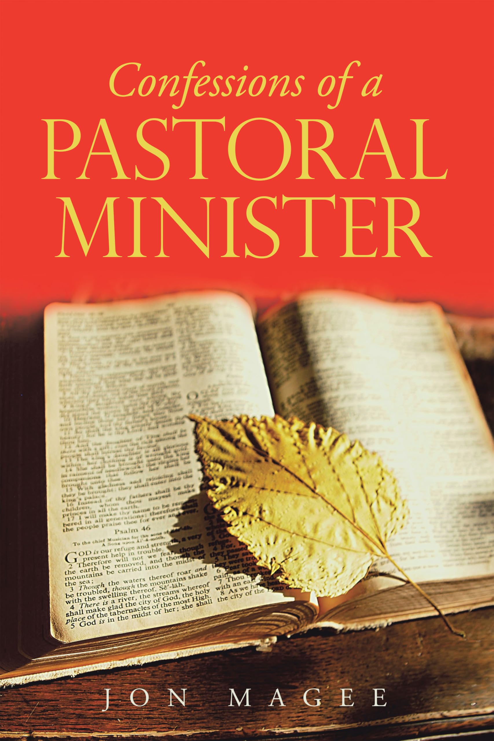 Confessions of a Pastoral Minister