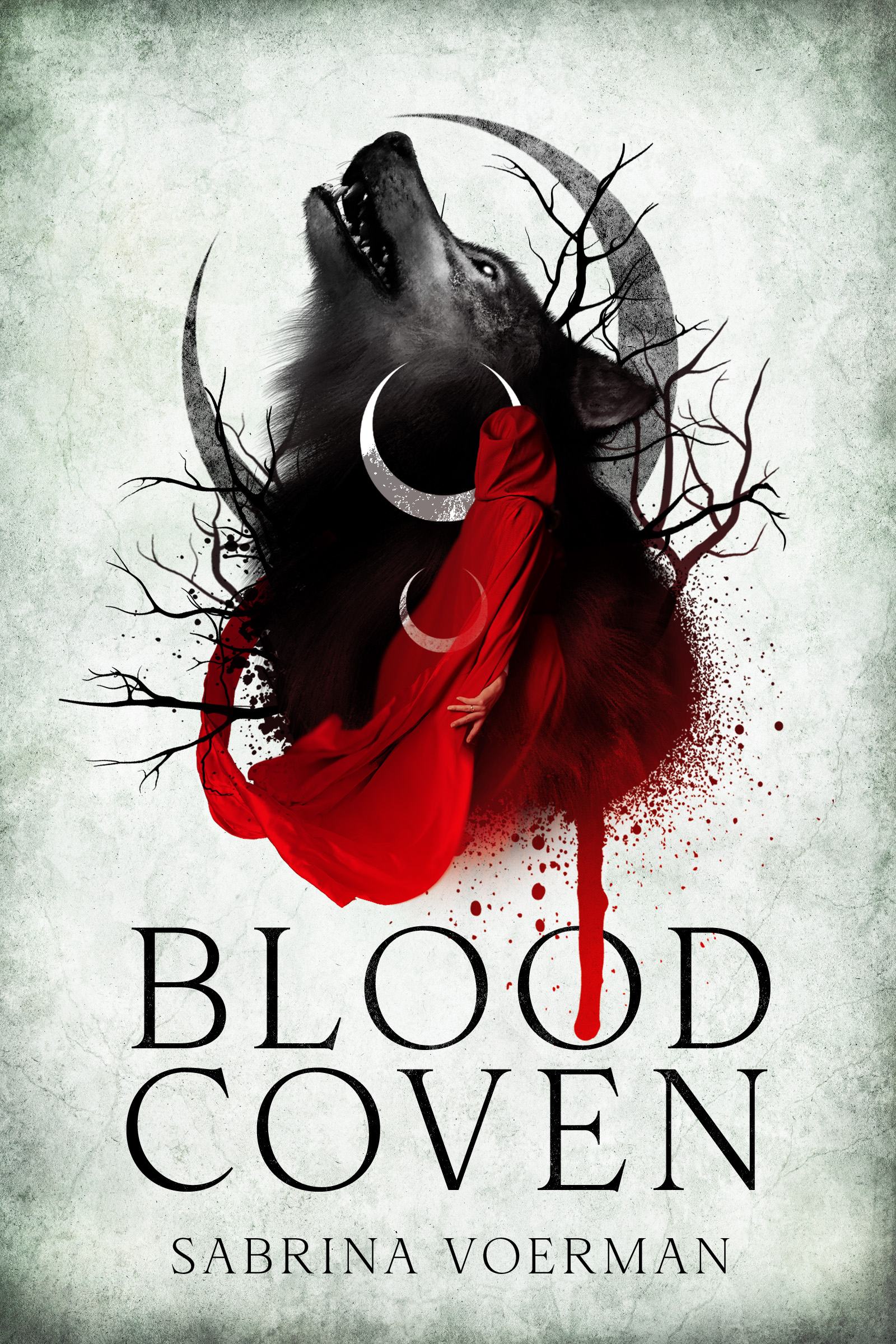 Blood Coven: The Blood Bound Series