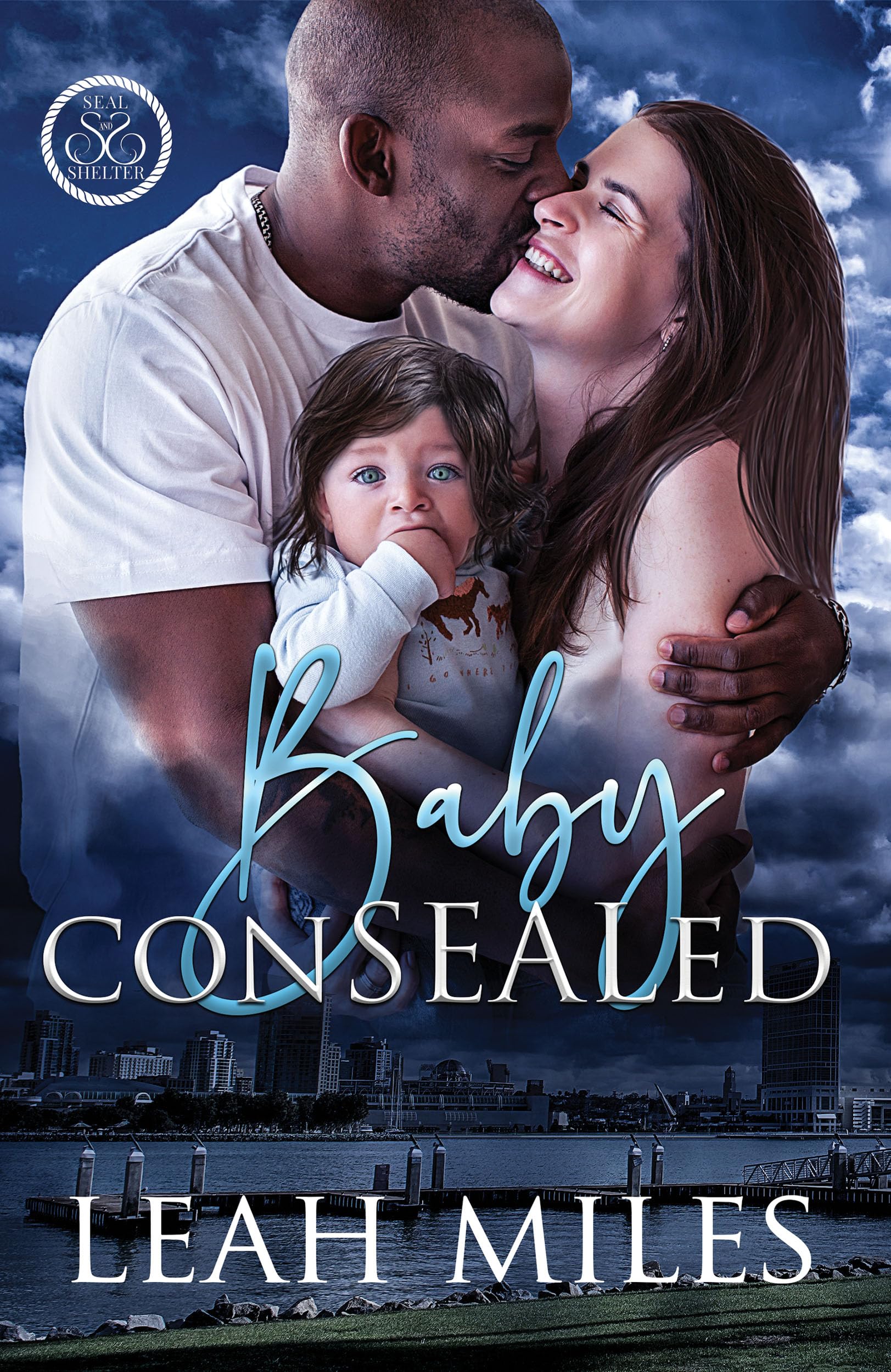 Baby ConSEALed (SEAL & Shelter Book 1)