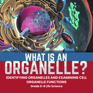 What is an Organelle? Identifying Organelles and Examining Cell Organelle Functions | Grade 6-8 Life Science