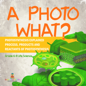 A Photo What? Photosynthesis Explained | Process, Products and Reactants of Photosynthesis | Grade 6-8 Life Science