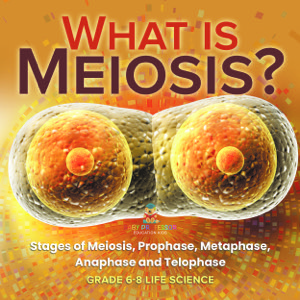 What is Meiosis? Stages of Meiosis, Prophase, Metaphase, Anaphase and Telophase | Grade 6-8 Life Science