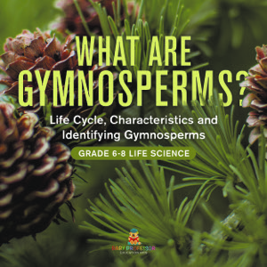 What are Gymnosperms?