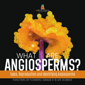 What are Angiosperms? Types, Reproduction and Identifying Angiosperms | Function of Flowers | Grade 6-8 Life Science