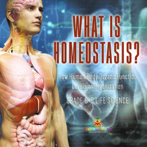 What is Homeostasis? How Human Body Organs Function | Levels of Organization | Grade 6-8 Life Science