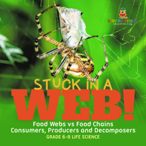 Stuck in a Web! Food Webs vs Food Chains | Consumers, Producers and Decomposers | Grade 6-8 Life Science