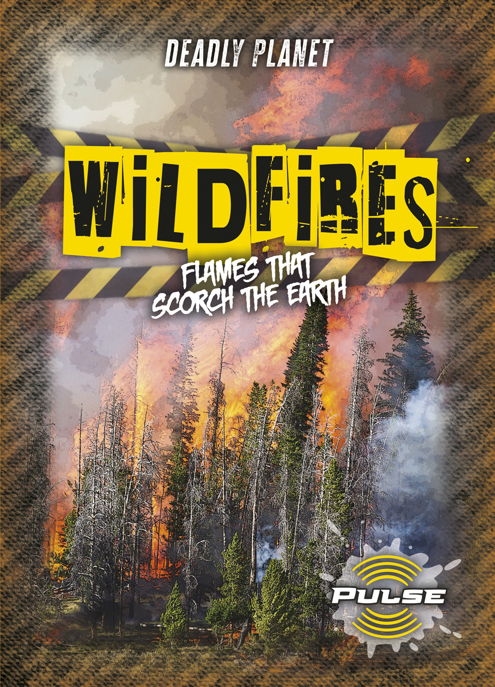 Wildfires