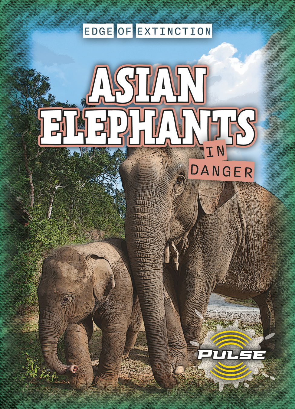 Asian Elephants in Danger
