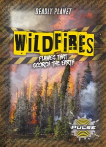 Wildfires