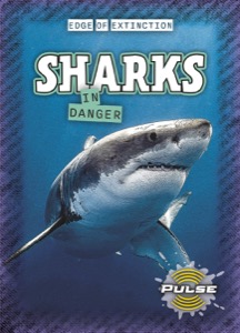 Sharks in Danger