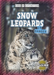 Snow Leopards in Danger